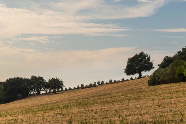 Zonsondergang op het Italiaanse platteland — Stockfoto