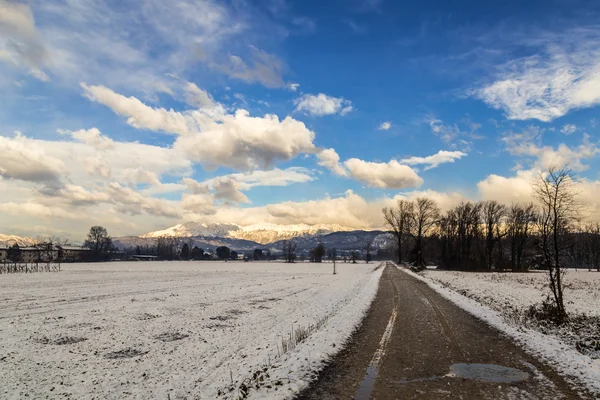 Italienische Felder mit Schnee — Stockfoto