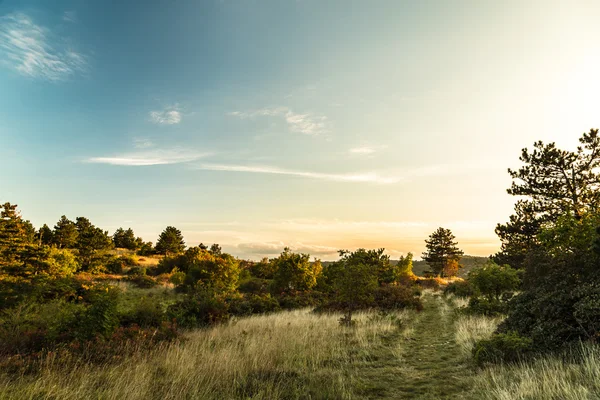 Autumn evening in Val Rosandra — Stock Photo, Image