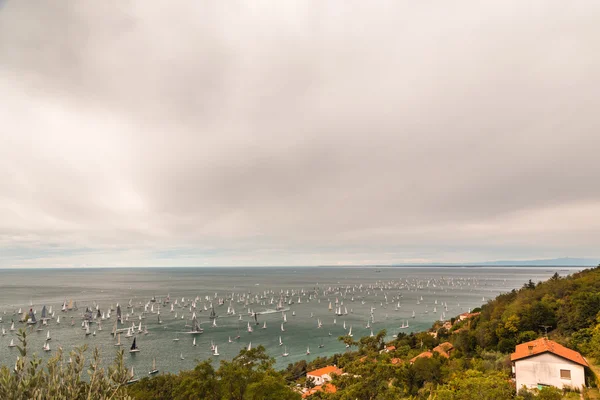 Regata de barcolana de trieste — Fotografia de Stock