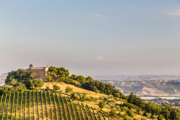 Sunset in the italian countryside — Stock Photo, Image