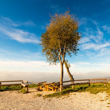 Trieste Körfezi sisli sabah