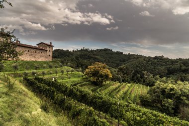 Kırsalda terk edilmiş bir çiftlik.