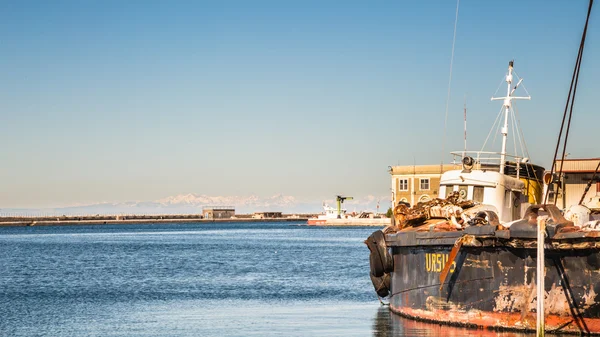 Une vieille grue dans le port de Trieste — Photo