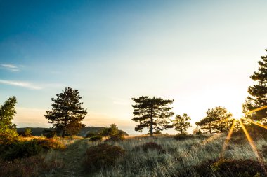 Val Rosandra sonbahar akşam