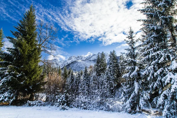 Prima neve in montagna — Foto Stock