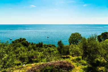 Yaz aylarında Trieste Körfezi