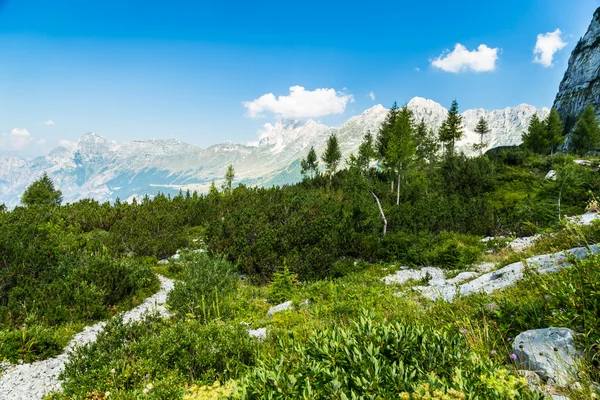 Mountain peak in a summer day — Stock Photo, Image