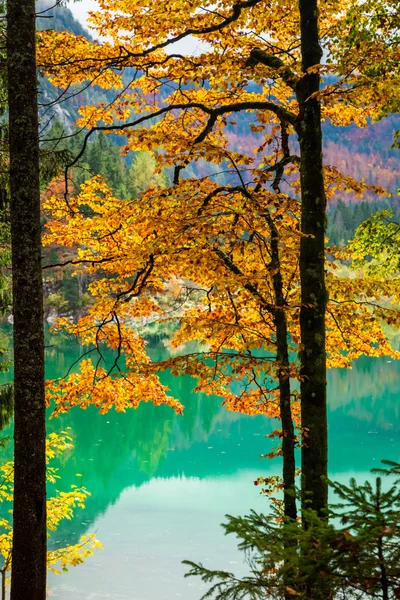 Matin d'automne dans les Alpes — Photo