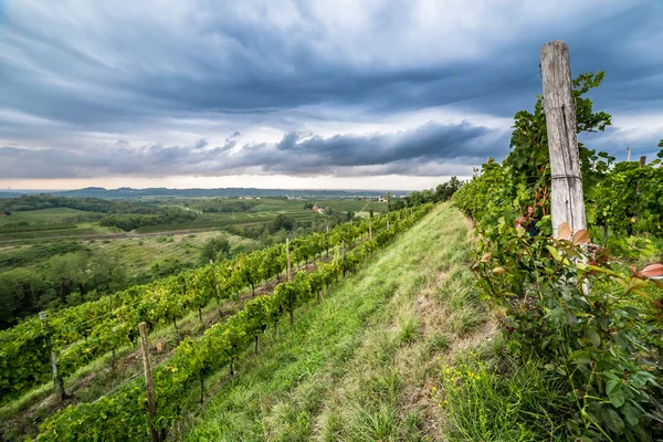 Sturm über den Feldern — Stockfoto