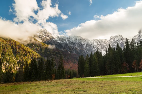 Höst morgon i Alperna — Stockfoto