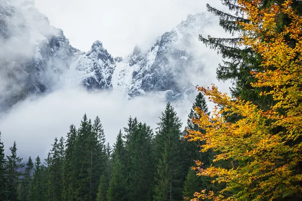 Autumn morning in the alps — Stock Photo, Image