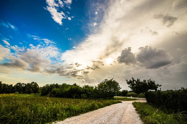 Storm over the fields — Stock Photo, Image