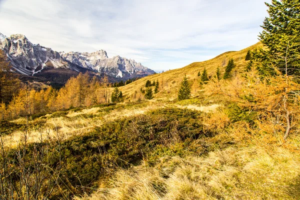 Manhã de outono nos alpes — Fotografia de Stock