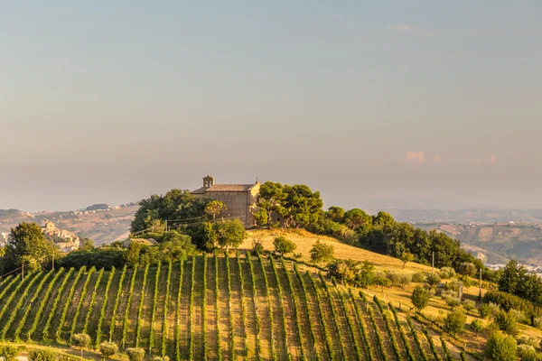 Sunset in the italian countryside — Stock Photo, Image