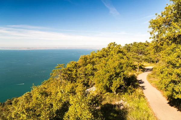 El golfo de Trieste en un día soleado —  Fotos de Stock