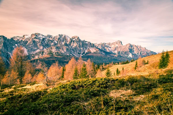 Manhã de outono nos alpes — Fotografia de Stock