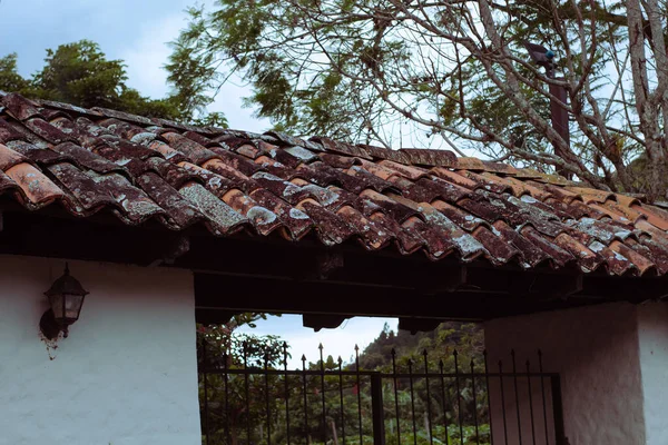 切り立った白菜と高い底の木の美しい古い屋根 — ストック写真