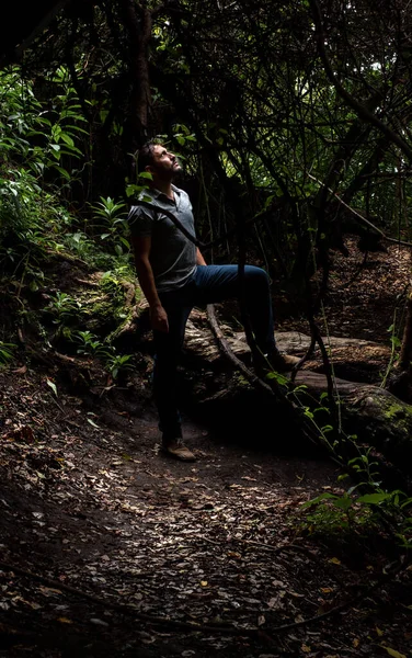 Hombre Viendo Cielo Bosque Tropico — Foto de Stock