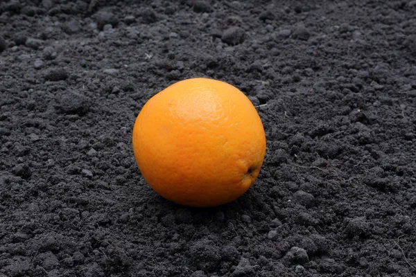 Orange — Stockfoto