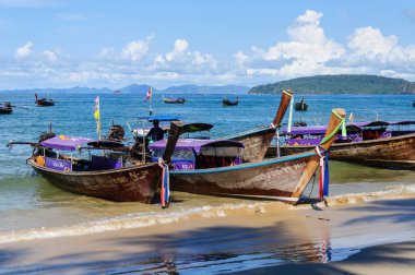 Kıyıdaki balıkçı tekneleri