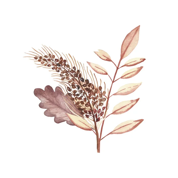 水彩手描き自然秋の植物黄色と茶色の秋の葉と装飾カードのための白い背景にそば穀物支店花束 — ストック写真