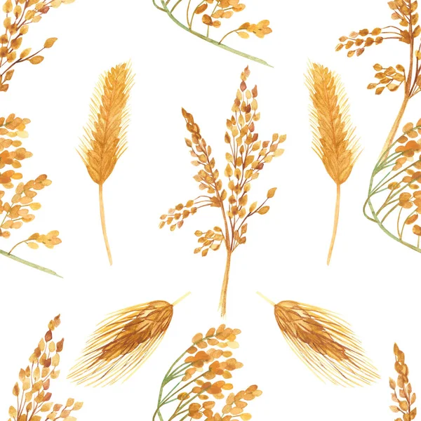 Watercolor hand painted nature grain fields seamless pattern with golden and green rye ears and cereal branches isolated on the white background for print design
