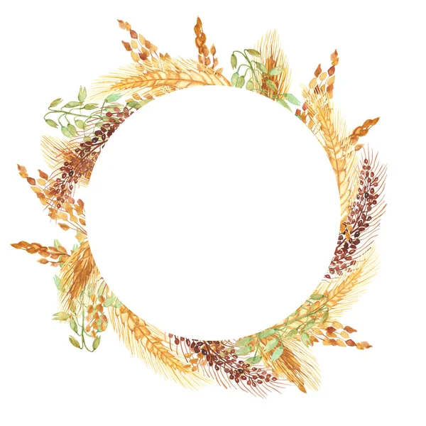 Watercolor Hand Painted Nature Grain Field Circle Frame Golden Rye — Fotografia de Stock