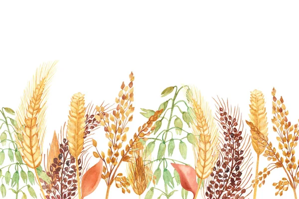 Watercolor Hand Painted Nature Grain Field Banner Composition Golden Rye — Stock Photo, Image