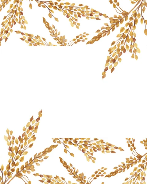 金色のシリアルライ麦の枝の組成物は テキストのためのスペースを招待し グリーティングカードのための白い背景に隔離された水の色の手描きの自然穀物フィールドフレーム — ストック写真
