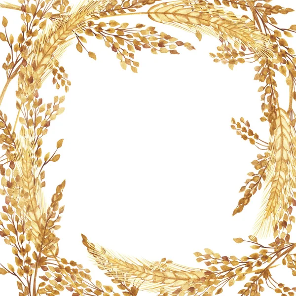 水彩画手绘自然粮田正方形边框 白色背景上有金黄色的黑麦穗和黄色的麦片枝花束 用于邀请和问候卡片 并留有文字空间 — 图库照片
