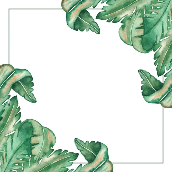 Акварель Ручной Окрашенной Природы Тропические Квадратные Рамки Зелеными Пальмовыми Листьями — стоковое фото