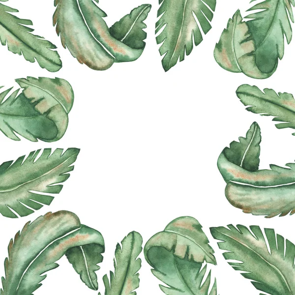 Акварель Кисти Природы Тропический Квадрат Рамка Зелеными Различными Пальмовыми Листьями — стоковое фото