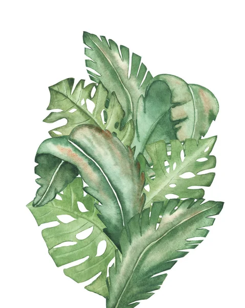 자연의 구성을 녹색의 야자나무 잎으로 색칠하여 디자인을 배경에 부케를 만든다 — 스톡 사진