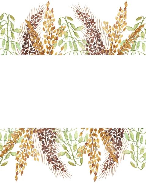 水彩手描きの自然穀物のフィールドバナーフレームは テキストのためのスペースを招待し グリーティングカードのための白い背景に茶色 金色と緑の穀物の枝花束 — ストック写真