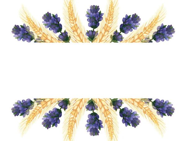 紫色のラベンダーの花の枝と黄色のライヤーシリアル花束と水彩手描きの自然バナーフレームテキストのためのスペースを招待し グリーティングカードのための白い背景に — ストック写真
