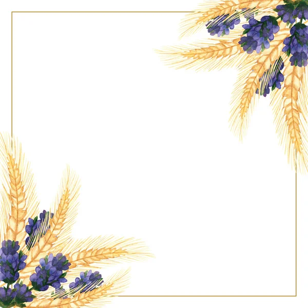 Акварель Ручной Росписи Природы Квадратные Рамки Фиолетовыми Ветвями Лаванды Цветок — стоковое фото
