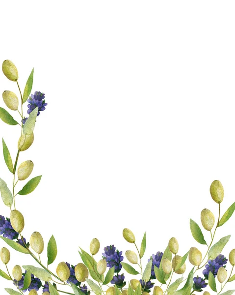 緑のオリーブ 紫のラベンダーの花の枝の組成物で水の色の手描きの自然イタリアのコーナーフレームテキストのためのスペースを招待し グリーティングカードのための白い背景に — ストック写真