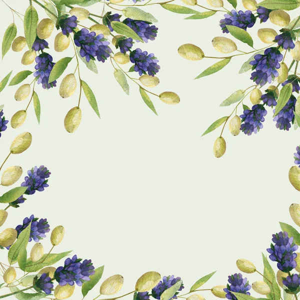 Watercolor Hand Painted Nature Provence Squared Border Frame Green Olive — Stock Photo, Image