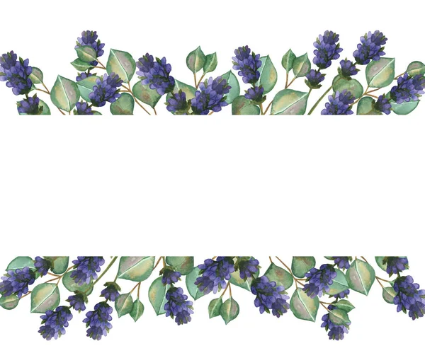 Watercolor Pintado Mão Natureza Floral Banner Frame Com Flores Lavanda — Fotografia de Stock