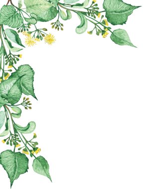 Suluboya el boya doğa bitkisel çerçeve ile sarı kireç çiçekleri ve dallar yeşil yapraklar beyaz arka planda davet ve metin için yer ile tebrik kartı