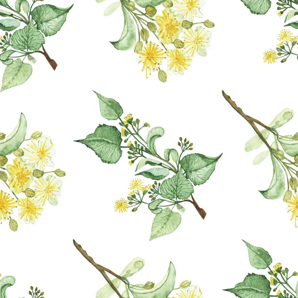 Akwarela Ręcznie Malowane Natura Roślina Ziołowa Bezszwowy Wzór Żółtym Kwiatem — Zdjęcie stockowe