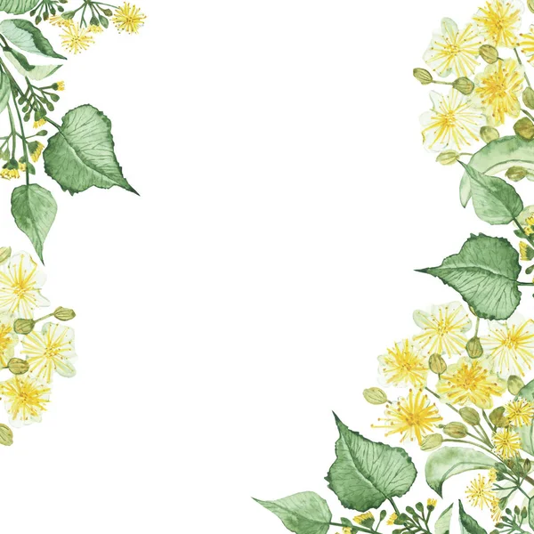 Акварель Ручной Окрашенной Природы Травяные Рамки Растения Желтым Цветком Липы — стоковое фото