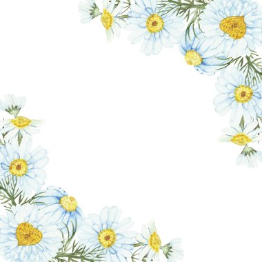 Suluboya el boyası doğa bitkisel köşe çerçeve beyaz taç yaprakları sarı çiçekleri ve yeşil yaprakları davet ve tebrik kartı için beyaz arka planda.