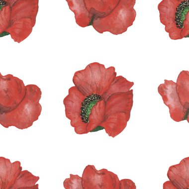 Suluboya el boya doğa çiçek desenli kırmızı gelincik çiçekli kompozisyon deseni iz tasarım elementleri için beyaz arka planda izole