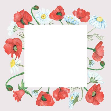 Suluboya el boyası doğanın kenarlık çerçevesini kırmızı haşhaş ve beyaz papatya çiçekleri ile bej arka planda davetiye ve mesaj için beyaz yer olan tebrik kartı ile boyadı.