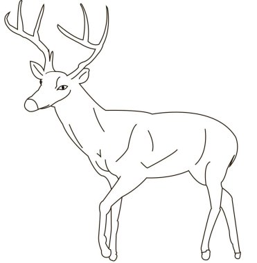 Tasarım elementleri için şeffaf arka planda siyah hatlı karalama çizimi yapan bir vektör el resmi.