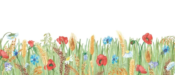緑の草と赤のケシ 白いカモミール 青のコーンフラワーと白の背景に黄金のライヤーシリアル花束と水彩手描きフィールド自然組成物 — ストック写真