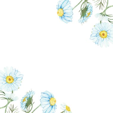 Suluboya el boyası doğa çiçekli çerçeve beyaz taç yapraklı ve sarı merkezli papatya çiçekleri yeşil saplı buket üzerinde davetiye ve tebrik kartı tasarımı için