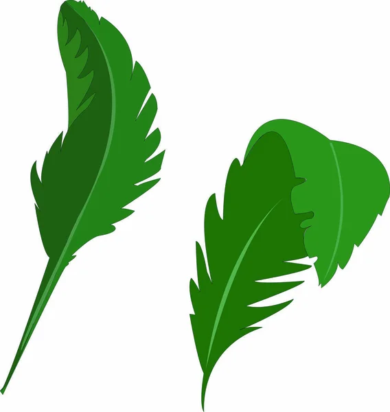 Vetor Pintado Mão Natureza Ilustração Gráfica Com Contorno Verde Folhas — Fotografia de Stock